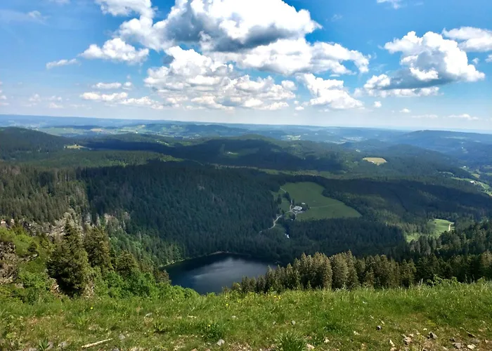 Tannenhof Fischbach - Fewo 6 \
